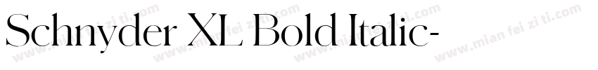 Schnyder XL Bold Italic字体转换